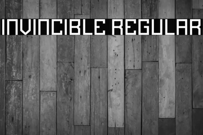 Invincible Regular Caratteri examples