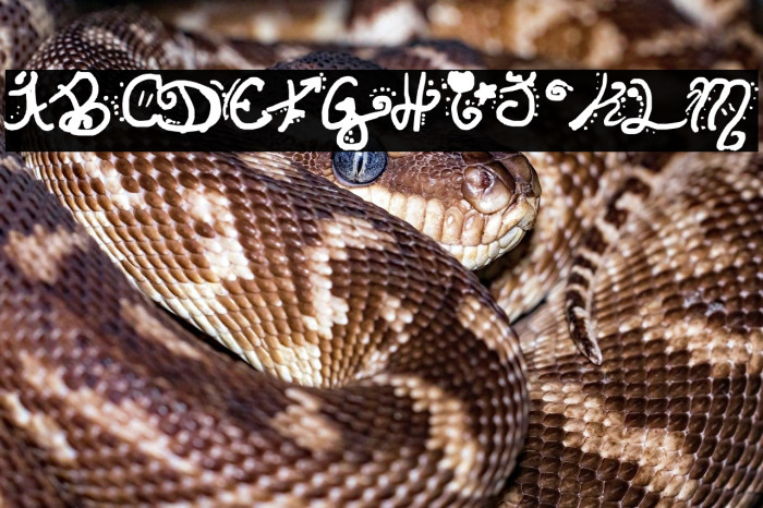 Invisible Horizons Example 1