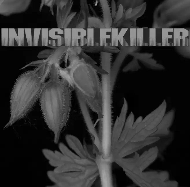 InvisibleKiller फ़ॉन्ट examples