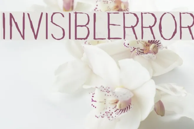 Invisiblerror Example 3