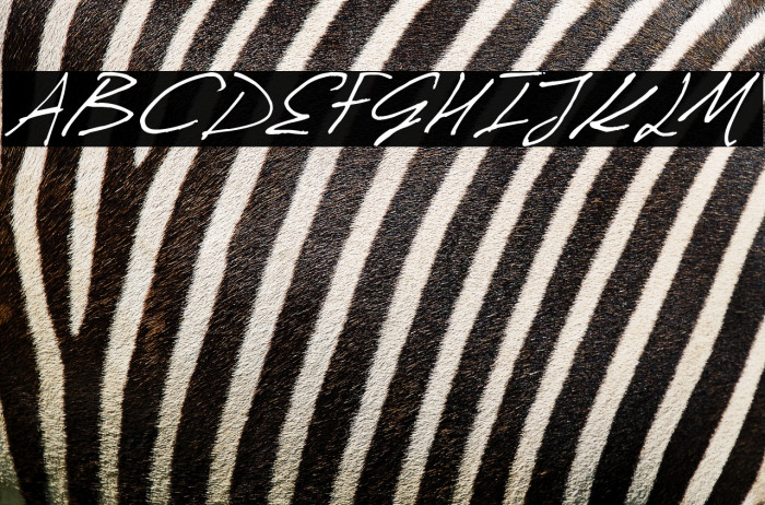 Invission Pro Italic Example 2