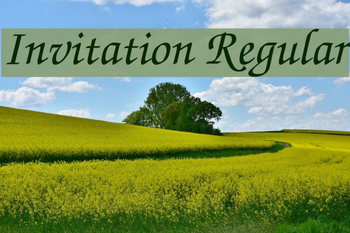 Invitation Regular Font examples