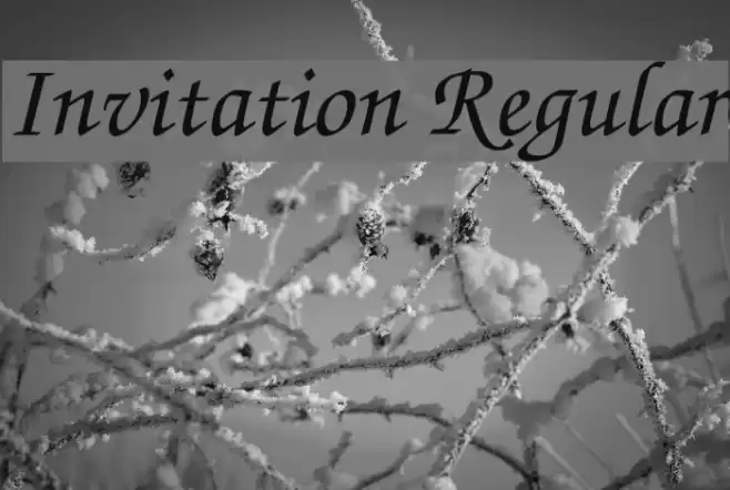 Invitation Regular フォント examples