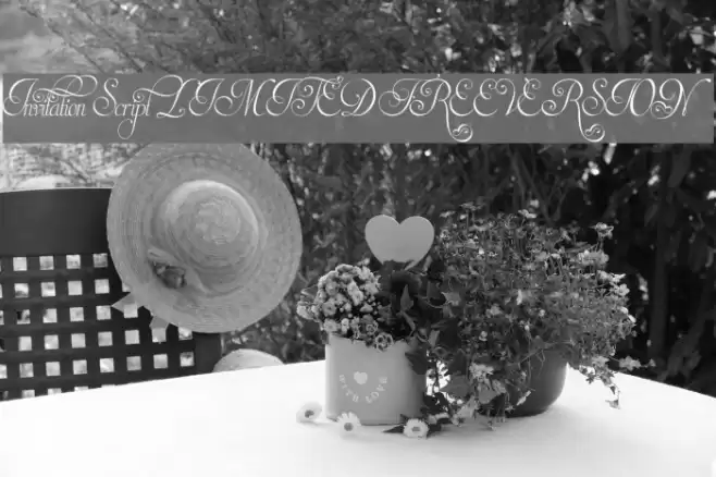 Invitation Script LIMITED FREE VERSION Font examples