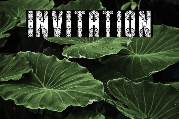 Invitation Example 2