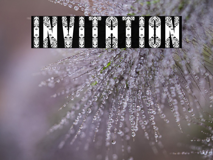 Invitation Example 3