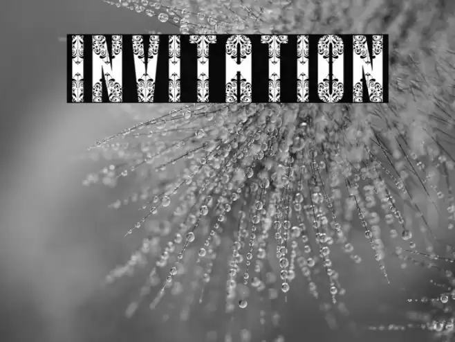Invitation Font examples