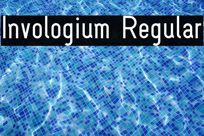 Invologium Regular Example 2