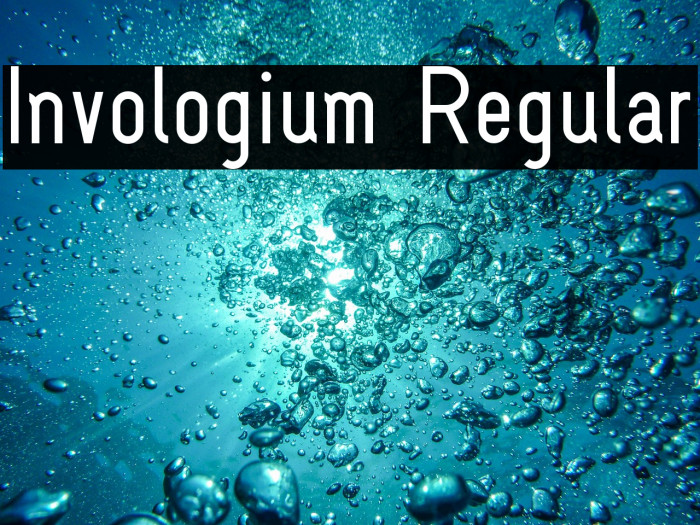 Invologium Regular Example 3
