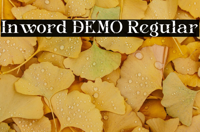 Inword DEMO Regular Example 1