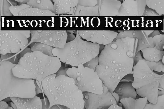 Inword DEMO Regular Fuentes examples