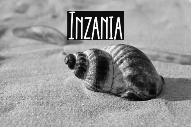 Inzania Font examples