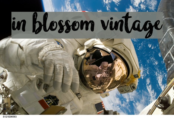 in blossom vintage Font examples