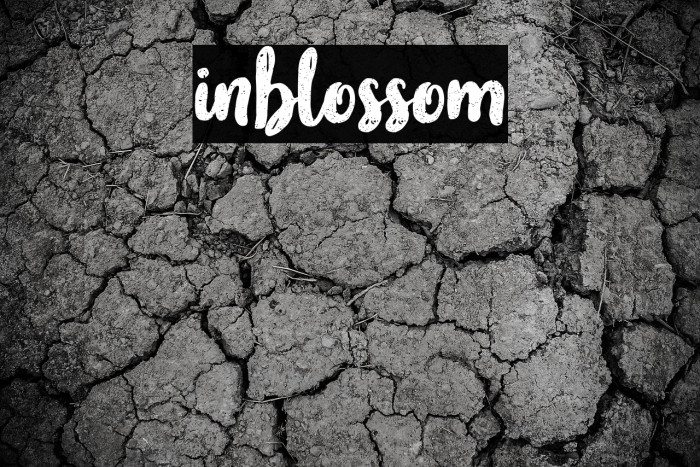 inblossom Example 1