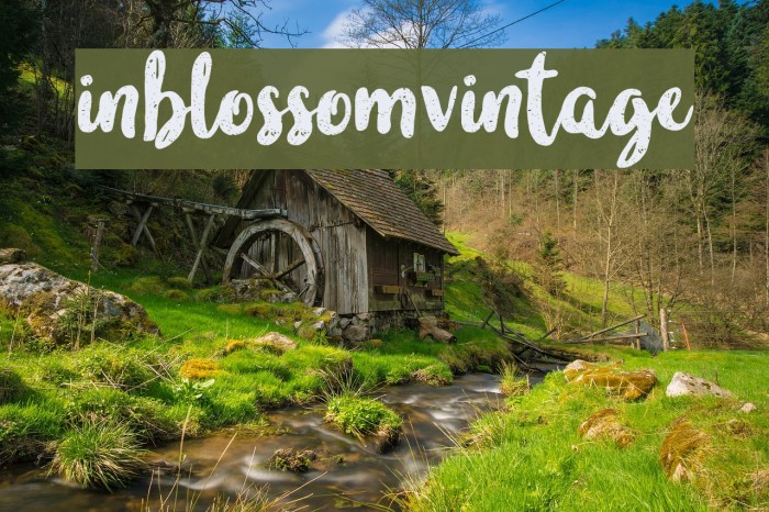 inblossomvintage 字体 examples