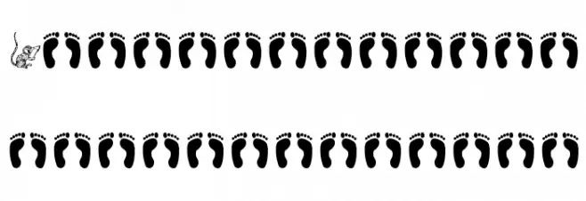 incident Font Litere mari
