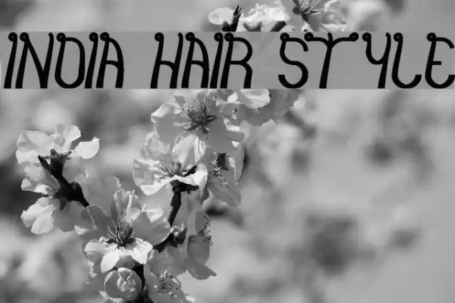 india hair style Font examples