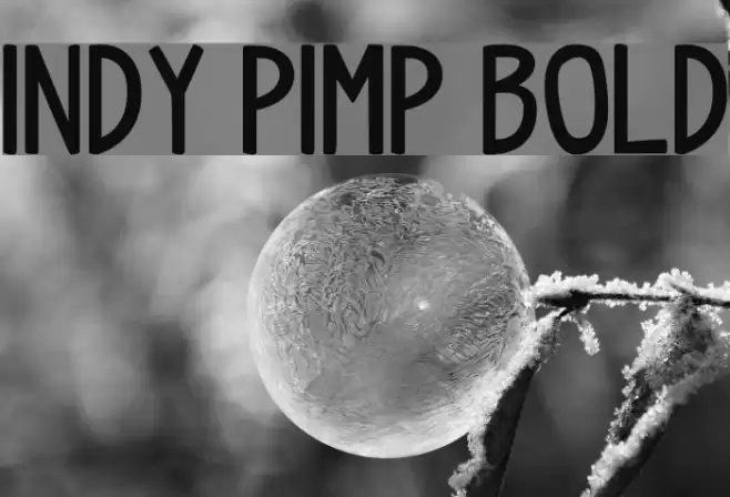 indy pimp Bold Font examples
