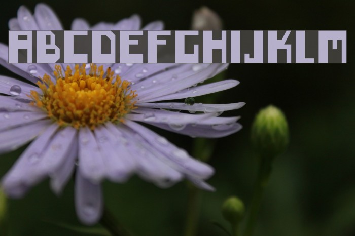 inero Font examples