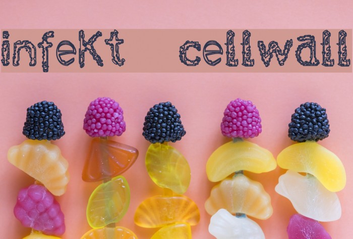 infekt cellwall Font examples