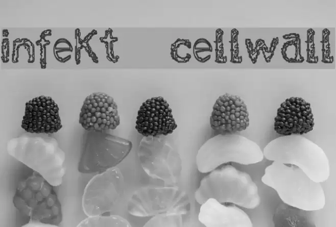 infekt  cellwall Шрифта examples