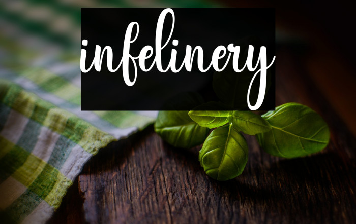 infelinery Example 1