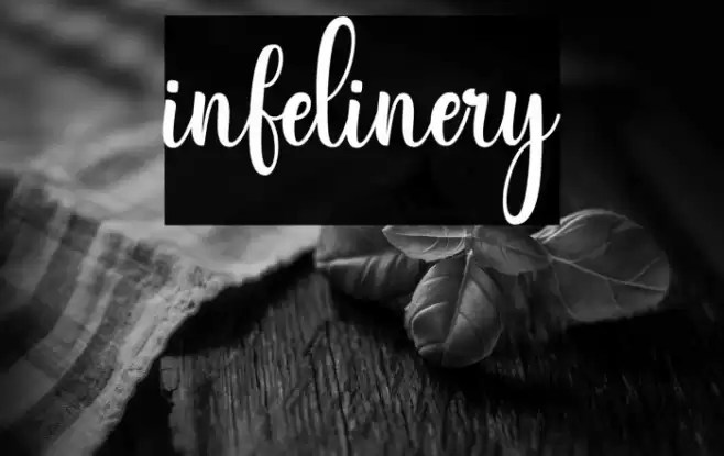 infelinery Font examples