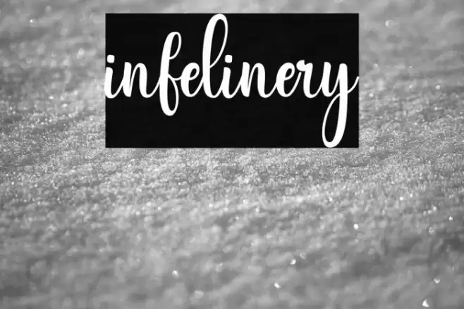 infelinery Font examples