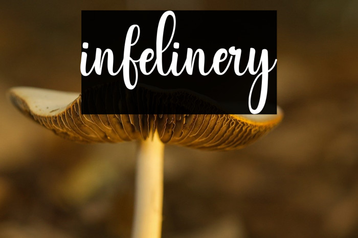 infelinery Example 3