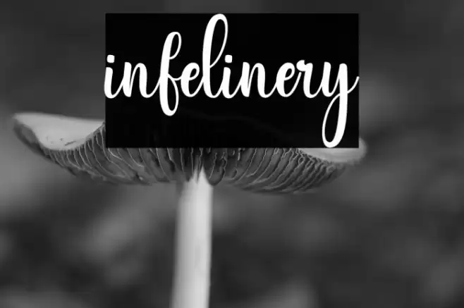 infelinery Font examples