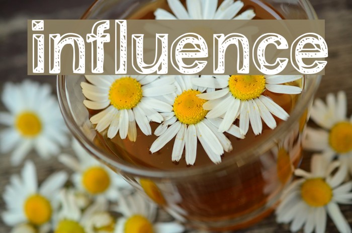 influence Font examples