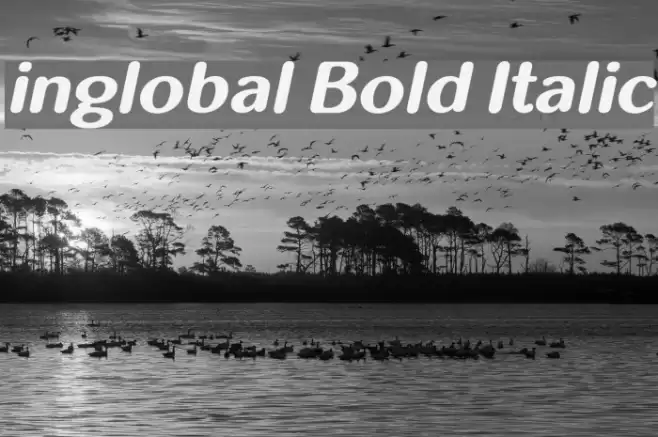 inglobal Bold Italic Font examples