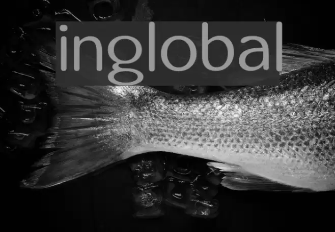 inglobal Font examples