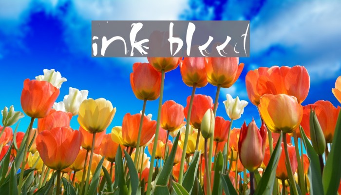 ink bleed Font examples