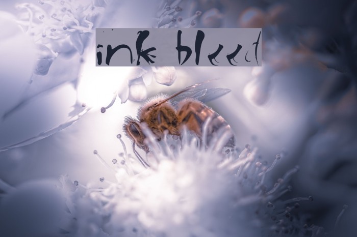ink bleed Font examples
