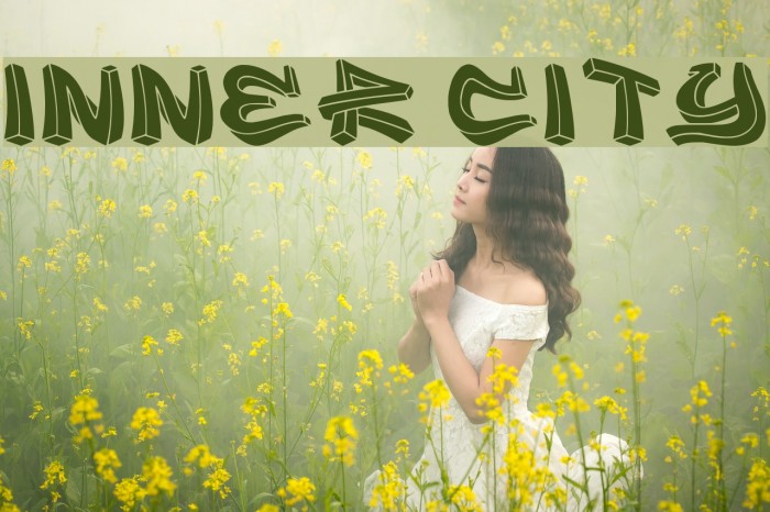inner city Font examples