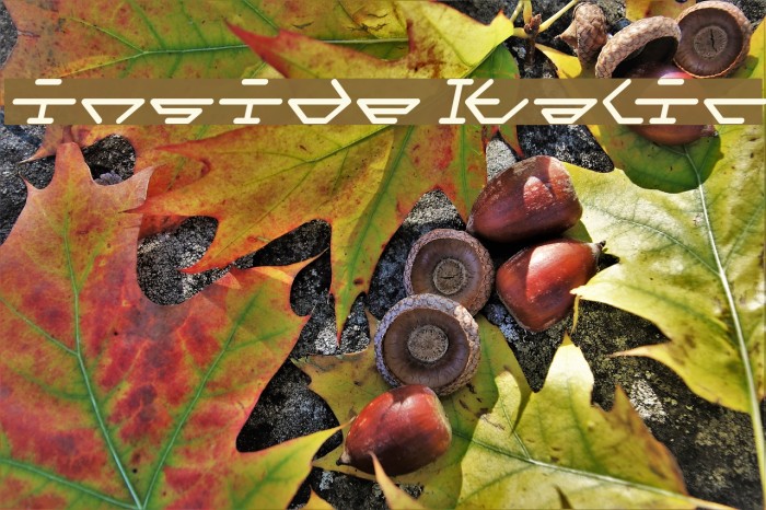 inside Italic Example 1