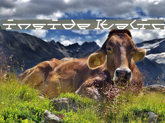 inside Italic Example 2