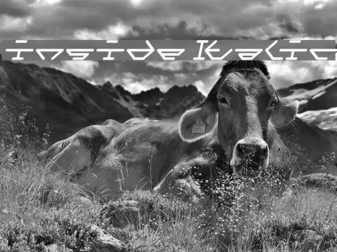 inside Italic Font examples