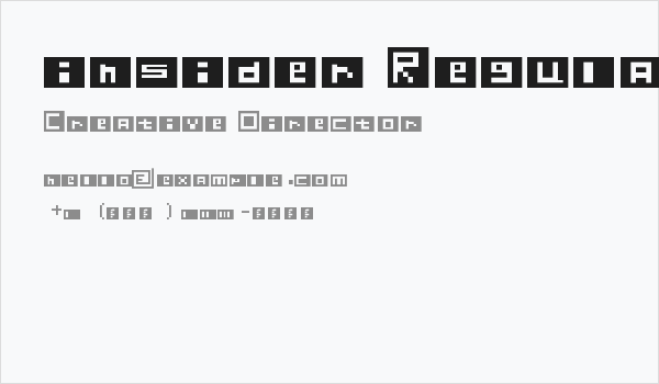 insider Regular Business Card