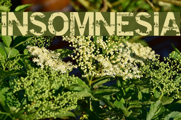 insomnesia Font examples