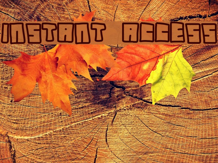 instant access Font examples
