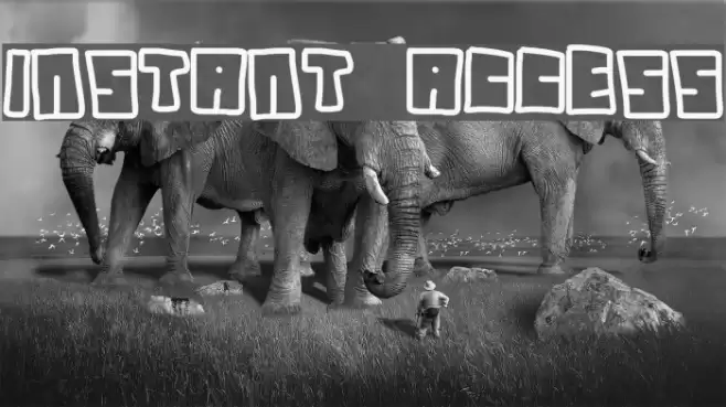 instant access Font examples