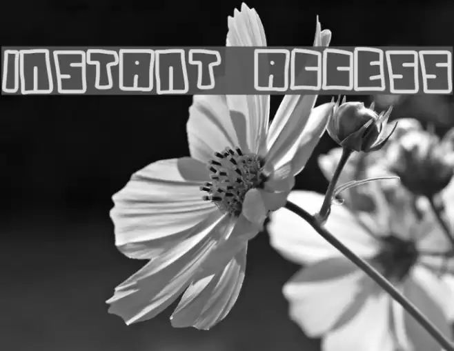 instant access Font examples