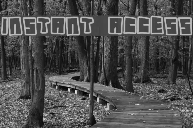 instant access Font examples