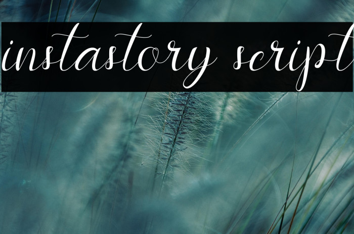 instastory script Example 2