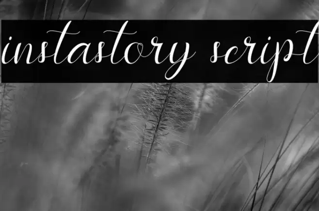 instastory script Font examples