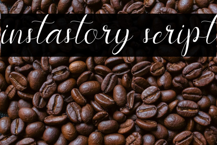 instastory script Example 3