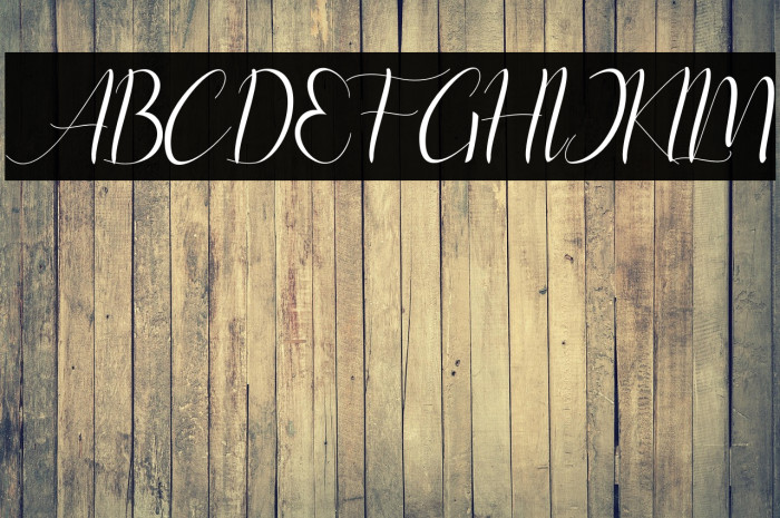 instastoryscript Example 2