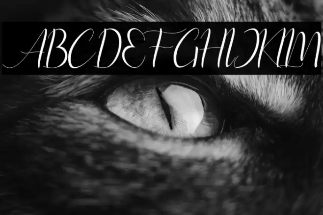 instastoryscript Font examples